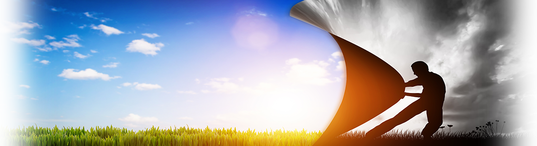 NFN Brain Connections