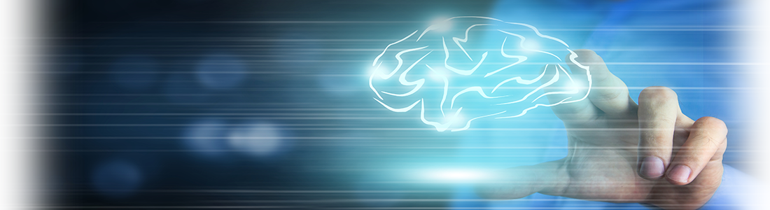 NFN Brain Connections